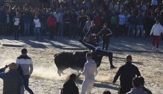 Viana de Cega vivió el punto álgido de sus fiestas de invierno con la celebración, ayer sábado, del X Toro de San Blas