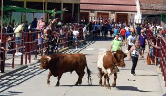 Programa de las fiestas taurinas de La Pedraja de Portillo