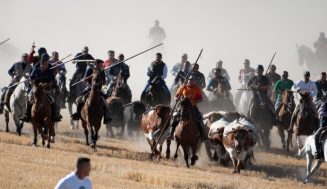 Programa de Fiestas de San Miguel y San Jerónimo de Olmedo