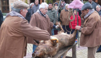 Llegan las XIV Jornadas del Mondongo de Matapozuelos