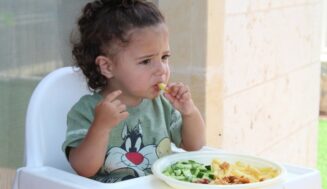 La Diputación de Valladolid ha garantizado una alimentación de calidad a 153 niños y niñas de la provincia en situación de vulnerabilidad