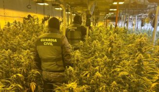 Desmantelada una plantación de marihuana en el interior de una nave en la localidad de Tordehumos