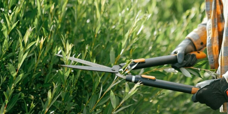 Publicada la convocatoria del Plan Integrado de Empleo Local (PLANIEL) para la contratación de personas desempleadas en ayuntamientos y diputaciones