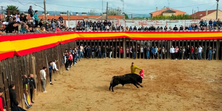 Programa de las fiestas de San Martín en Traspinedo