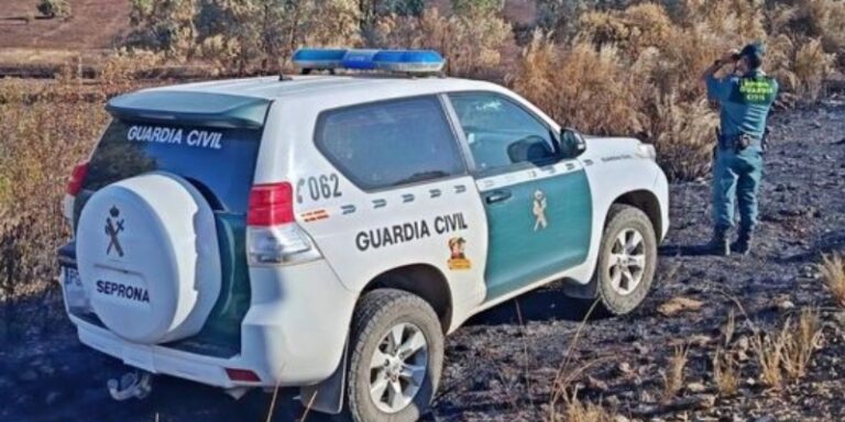 Investigan a un trabajador de una explotación ganadera por la muerte de una vaca en Cubillas de Santa Marta