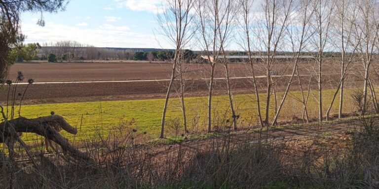 El Ayuntamiento de Laguna indica que el PGOU prohibe la explotación de áridos en el área de ‘El Murellón’