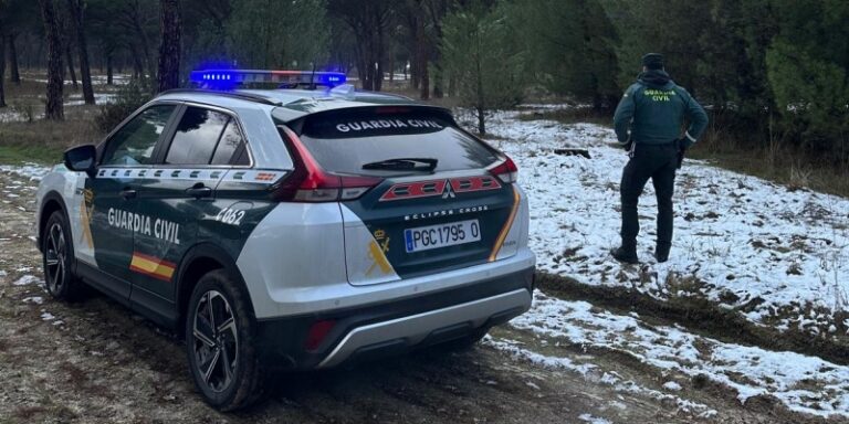 La Guardia Civil investiga a una persona por un delito de hurto de 571 pinos piñoneros adultos y delito de daños en pinar de Hornillos de Eresma