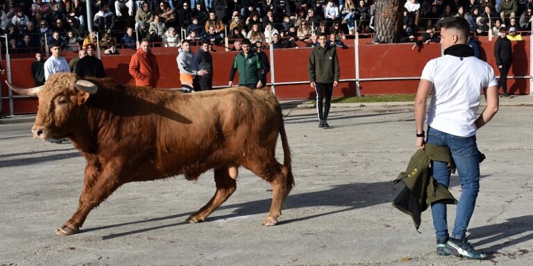 Los vecinos de Viana de Cega se preparan para celebrar la parte más íntima de sus fiestas de invierno
