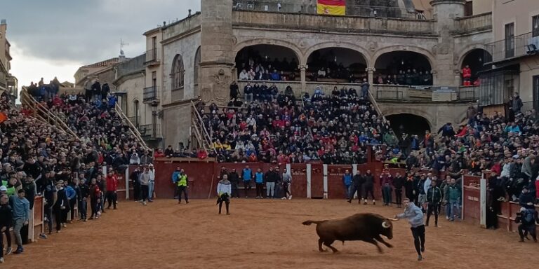 Martes de Carnaval en Ciudad Rodrigo