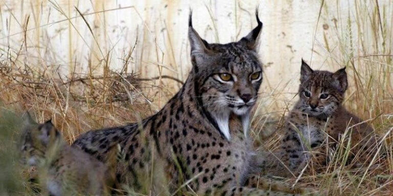 Efemérides del 3 de marzo