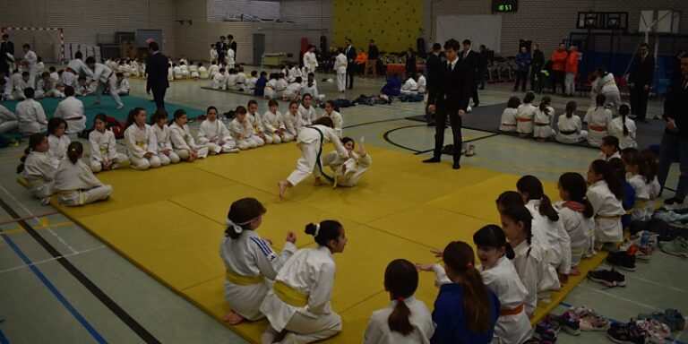 Aldeamayor celebra este sábado una nueva edición de su torneo de Judo