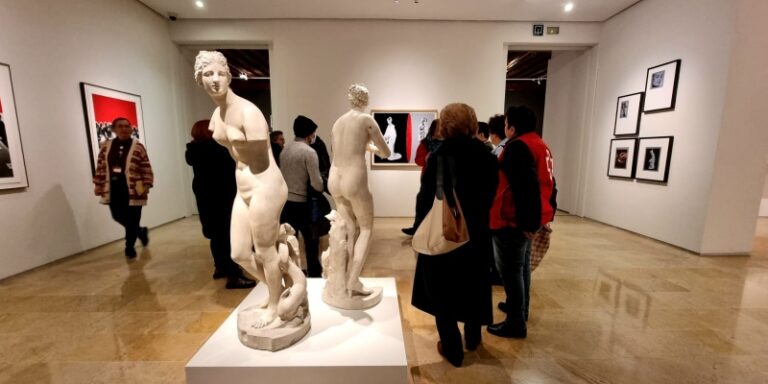 Ferrer-Dalmau, San Felipe Neri, el convento de Santa Isabel o el Museo Anatómico, protagonistas de las rutas organizadas por Cruz Roja