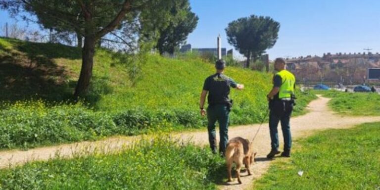 La Guardia Civil establece un dispositivo de búsqueda de una persona desaparecida en Arroyo de la Encomienda