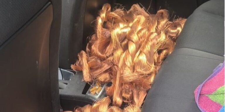 La Guardia Civil detiene a cuatro personas por apropiación indebida de 200 kg de cable de cobre en Villanueva de Duero