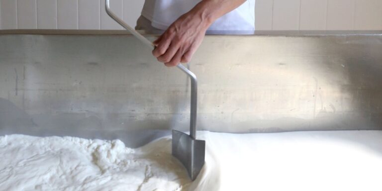 La Junta impulsa la modernización y digitalización del comercio de proximidad con ayudas de hasta 30.000 euros por establecimiento