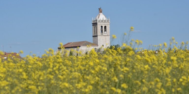 La Archidiócesis de Valladolid amplía el horario de apertura de más de 60 templos de la provincia por Semana Santa