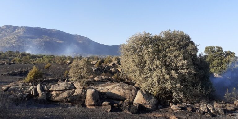 La Junta declara peligro medio de incendios forestales del 27 marzo al 6 de abril