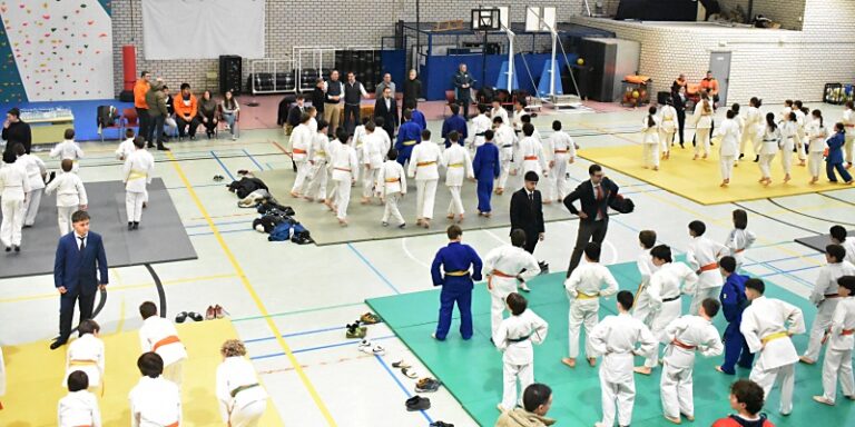 Más de 300 niños de toda Castilla y León se dieron cita el sábado en el XX Torneo de Judo de Aldeamayor