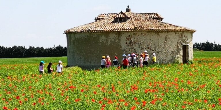 La Diputación de Valladolid organiza los Campamentos de Verano 2026 como apuesta por la conciliación y el ocio educativo en la provincia