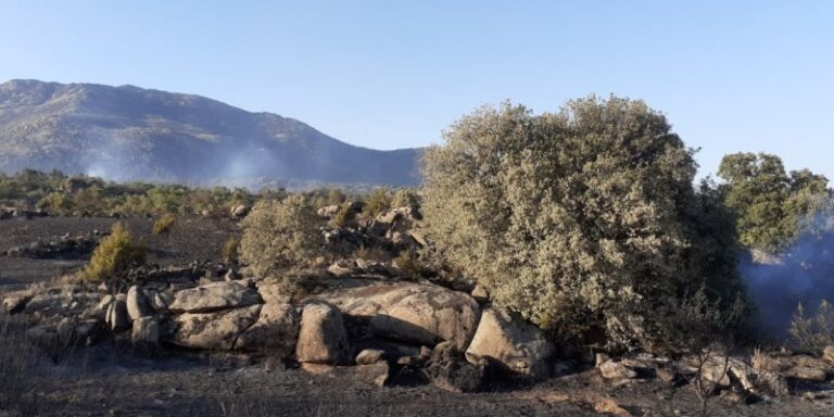 La Junta declara peligro medio de incendios forestales del 27 de mayo al 11 de junio